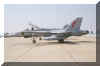 fa18C_VMFA-251.jpg (21315 bytes)